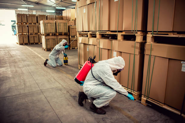 Best Pest Control Near Me in Berwyn, IL