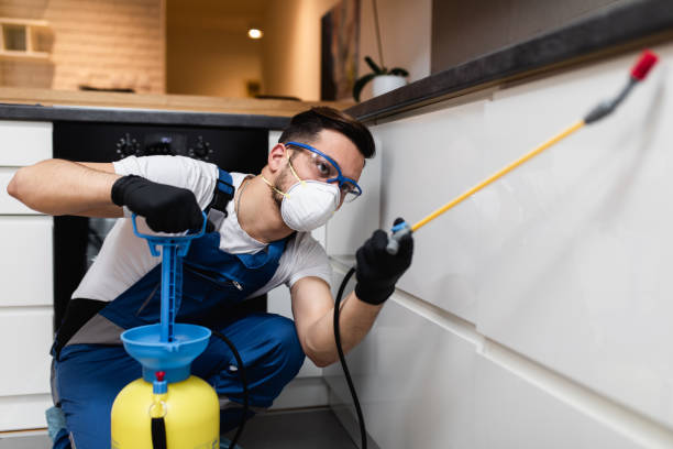 Best Affordable Pest Control Services  in Berwyn, IL