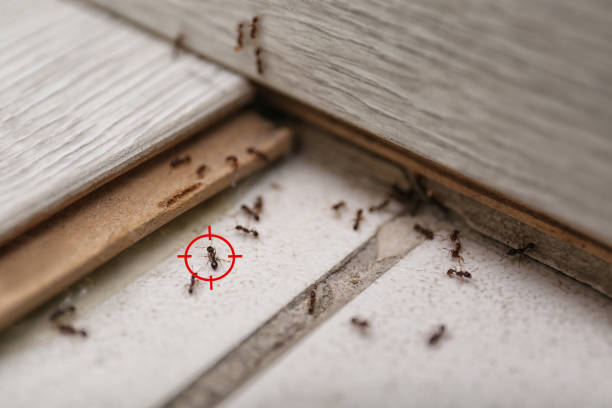 Best Commercial Pest Control Services  in Berwyn, IL
