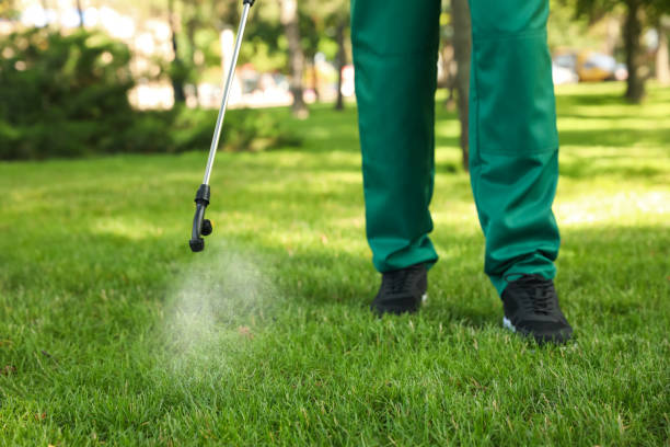 Best Flea Control Services  in Berwyn, IL