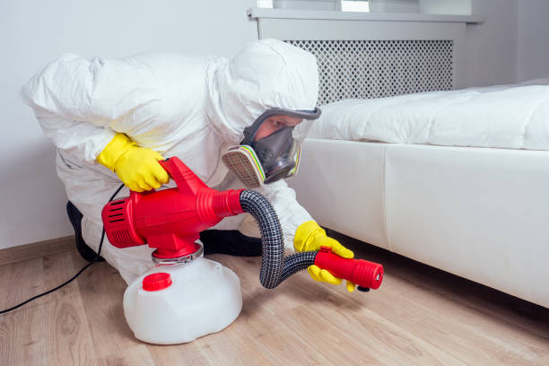 Best Wasp Removal Services  in Berwyn, IL