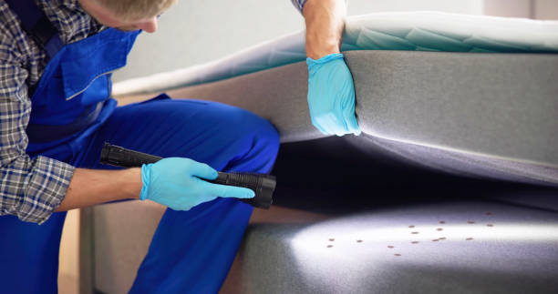 Best Affordable Pest Control Services  in Berwyn, IL
