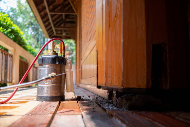 Best Local Pest Control Services  in Berwyn, IL
